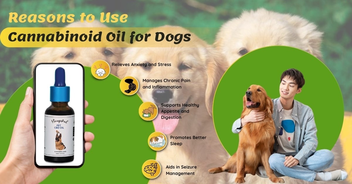 CBD for dogs India